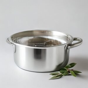Tri-Ply Stainless Steel Casserole 4L